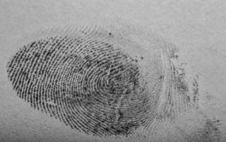 Close-up of a fingerprint