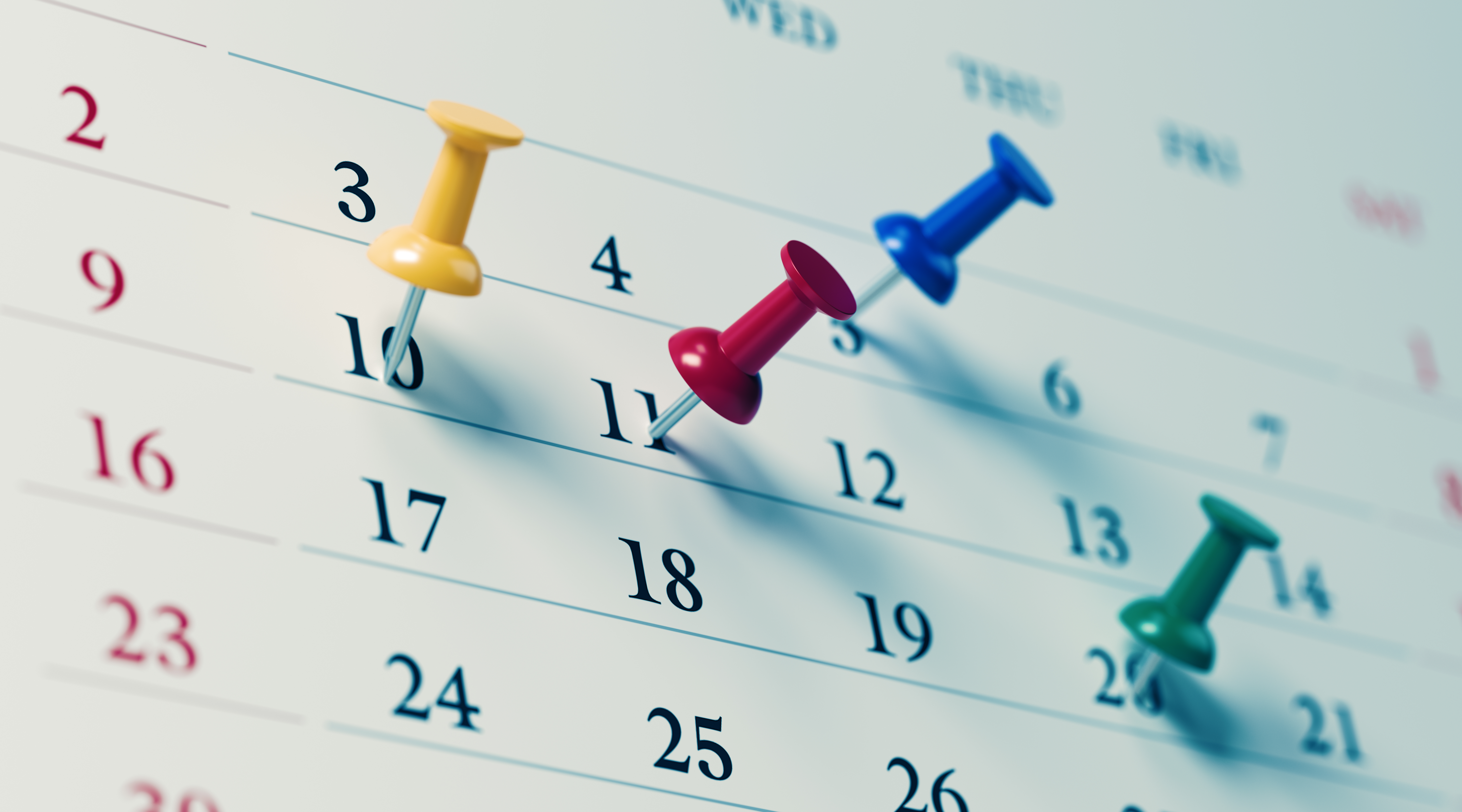 Calendar showcasing project timelines