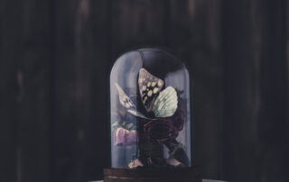 Preserved butterfly in glass vase