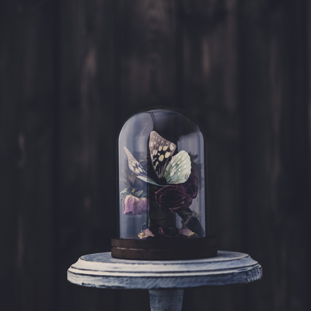 Preserved butterfly in glass vase