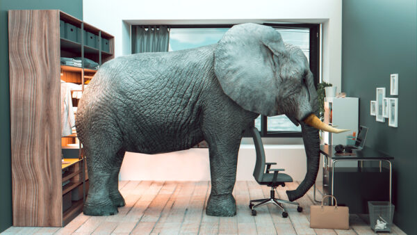 Elephant in an office, too big to fit